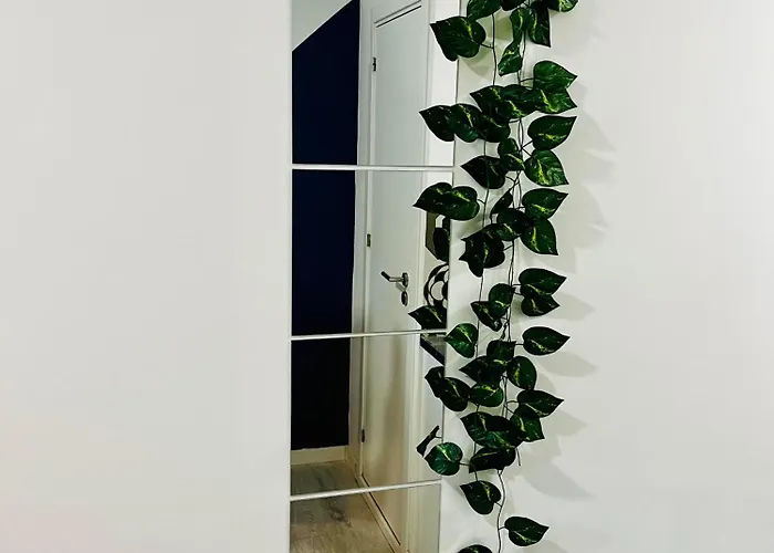 Cine דירה שטובל