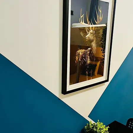 Cine Apartment