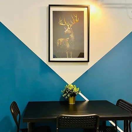 Cine * سيتوبال