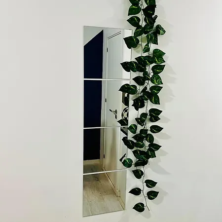 Cine Apartamento Setúbal